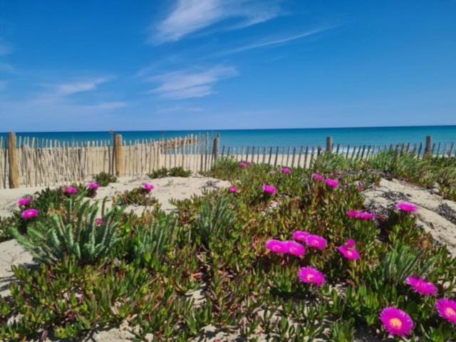Confortable Studio Cabine - Acces Plage- Vue Mer 4Tvp38 Le Barcares Exterior photo